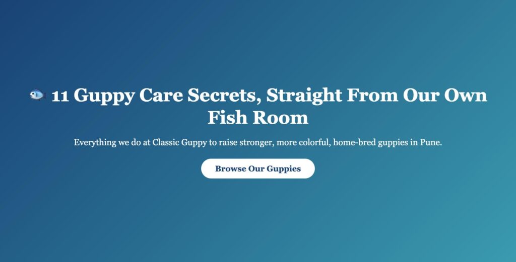 11 Guppy Care Secrets banner - Classic Guppy