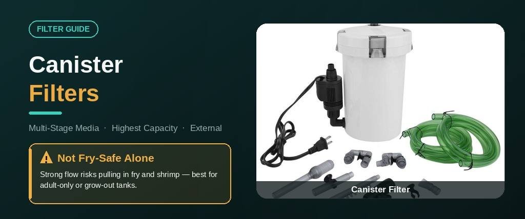Canister filter banner comparing single unit and hooked-up setup, marked not fry-safe alone for guppy tanks