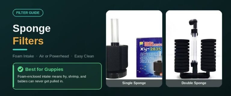 Sponge filter comparison banner - safest choice for guppy fry, gentle flow, low cost